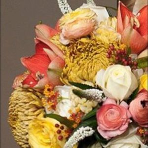 Meet your Posher, Heidi